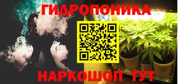 твердый Славгород