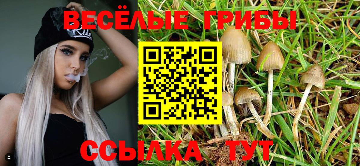 Псилоцибиновые грибы Psilocybine cubensis Нефтекумск