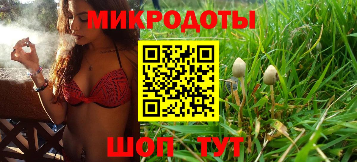 Псилоцибиновые грибы мухоморы  Вход с VPN  Псилоцибиновые грибы Psilocybe  Нефтекумск 